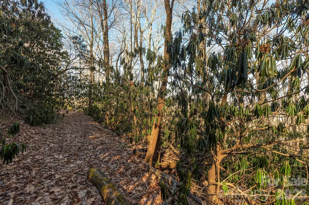 00 Wildflower Cove Road #18 Swannanoa, NC 28778