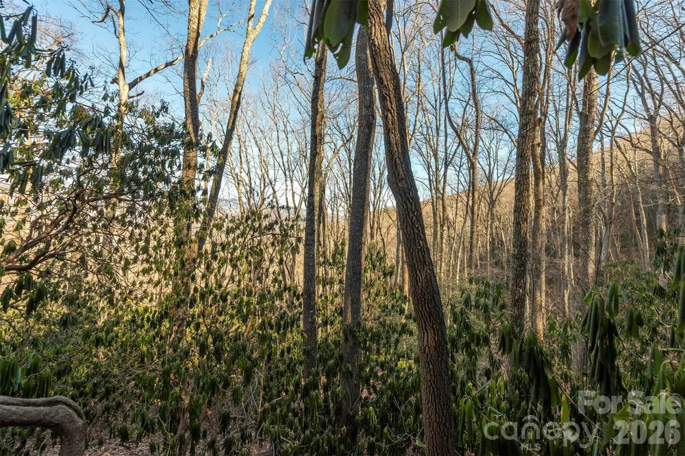 00 Wildflower Cove Road #18 Swannanoa, NC 28778