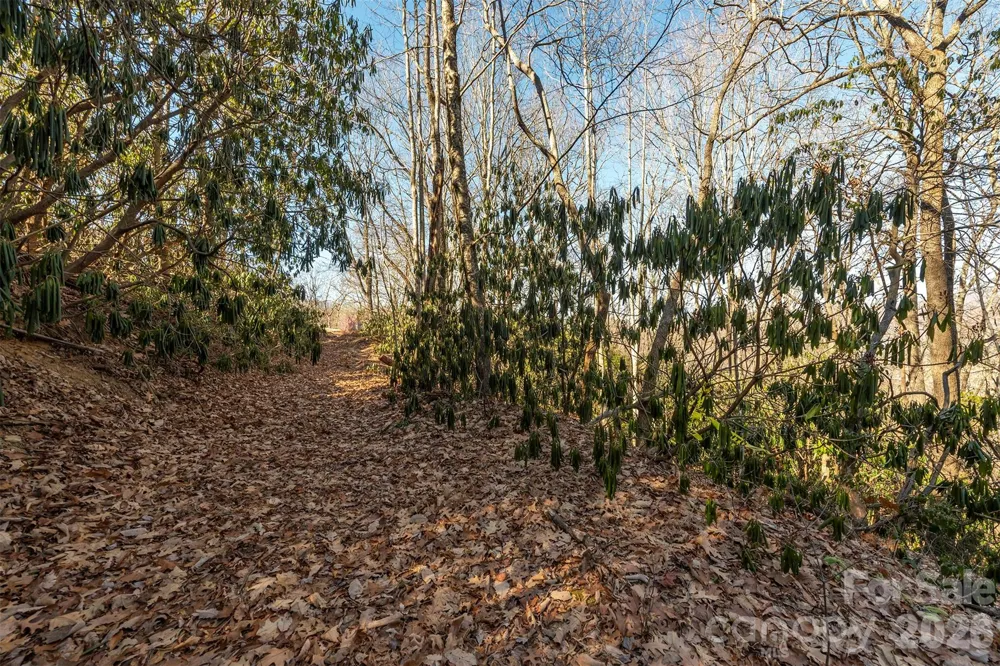 00 Wildflower Cove Road #18 Swannanoa, NC 28778