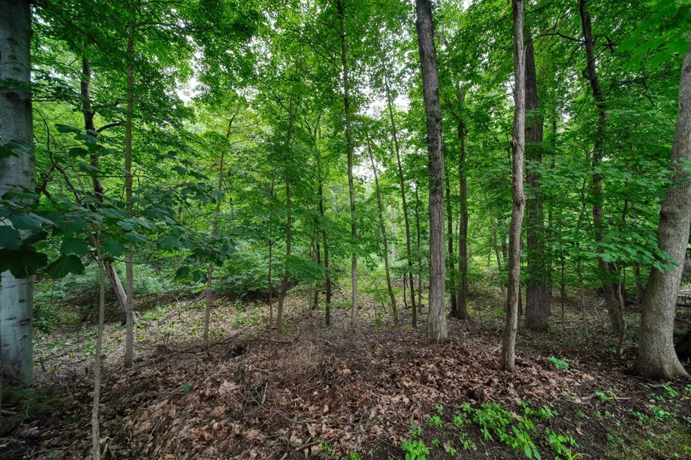 5168 W Bluestone Street Summit Township, MI 49201