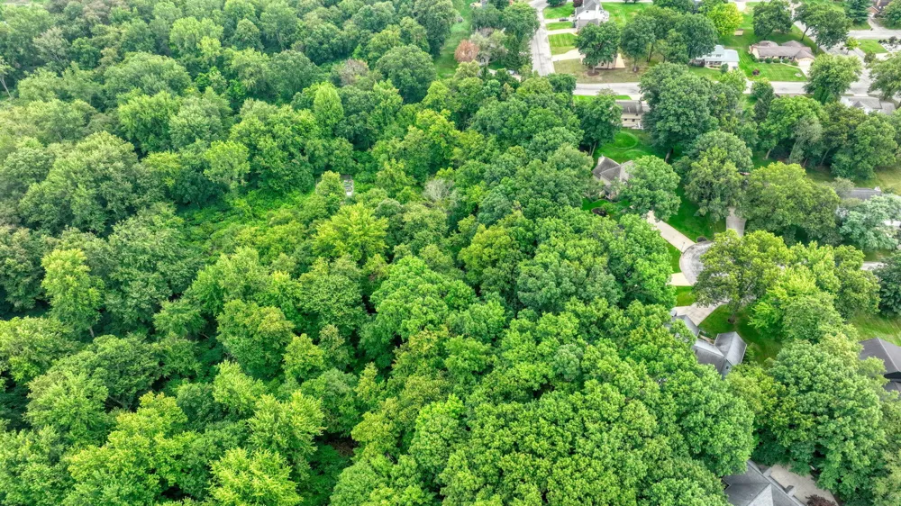 5168 W Bluestone Street Summit Township, MI 49201