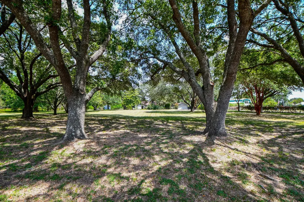25550 W Fm 1097 Road Montgomery, TX 77356