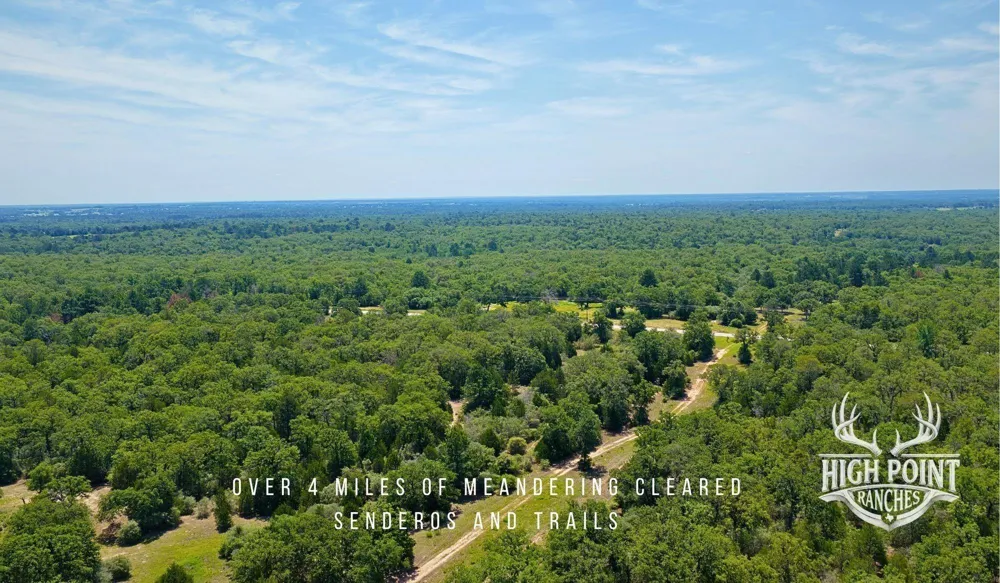 Ranch Road Off Cr 405- 245 Acres Lexington, TX 78947