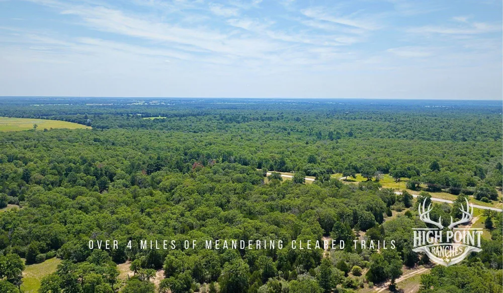 Ranch Road Off Cr 405- 245 Acres Lexington, TX 78947