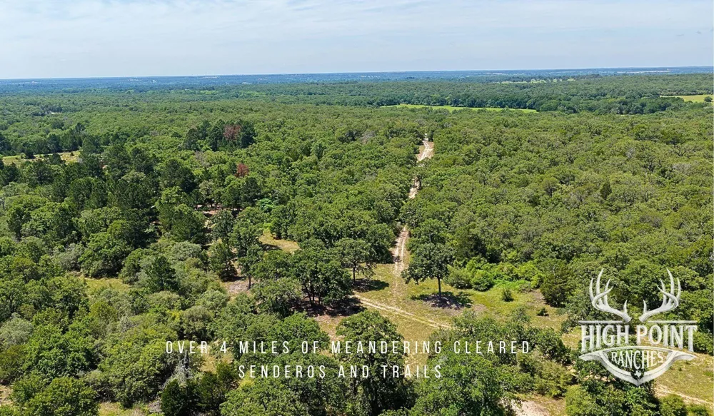 Ranch Road Off Cr 405- 245 Acres Lexington, TX 78947