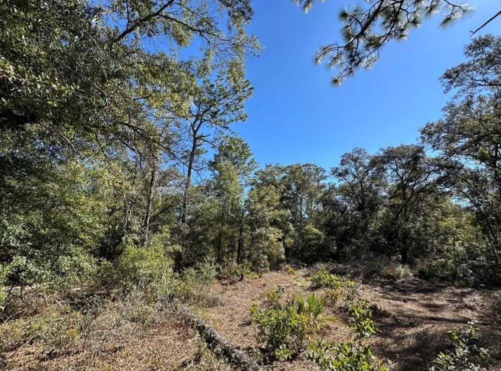 TBD NE 86TH STREET Bronson, FL 32621