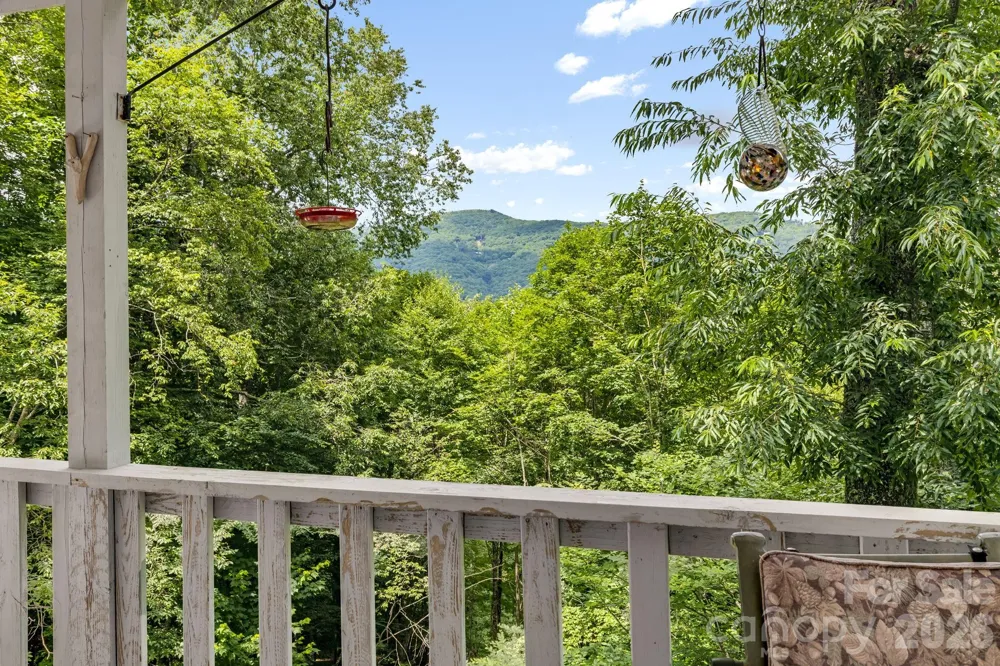 38 Bee Tree Lane Mars Hill, NC 28754