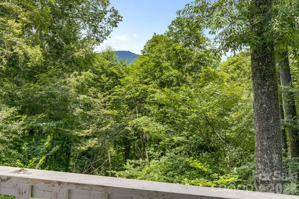 38 Bee Tree Lane Mars Hill, NC 28754