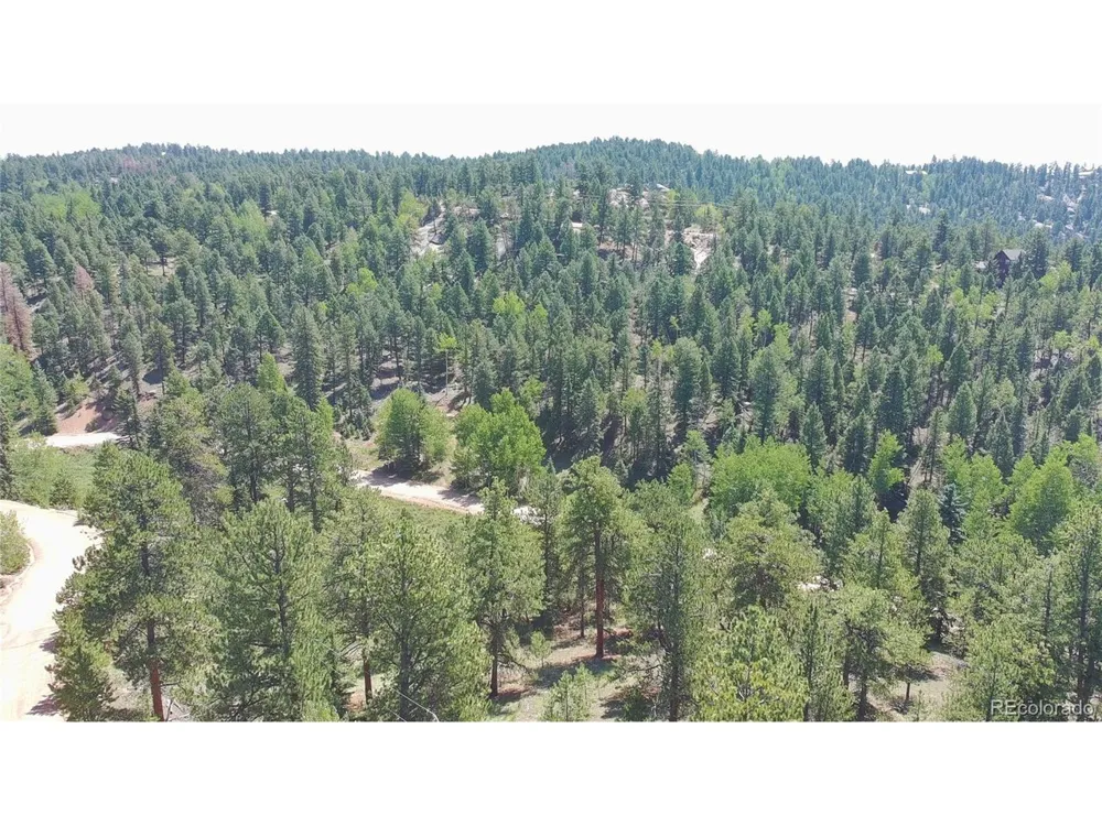 787 Spring Valley Lane Florissant, CO 80816