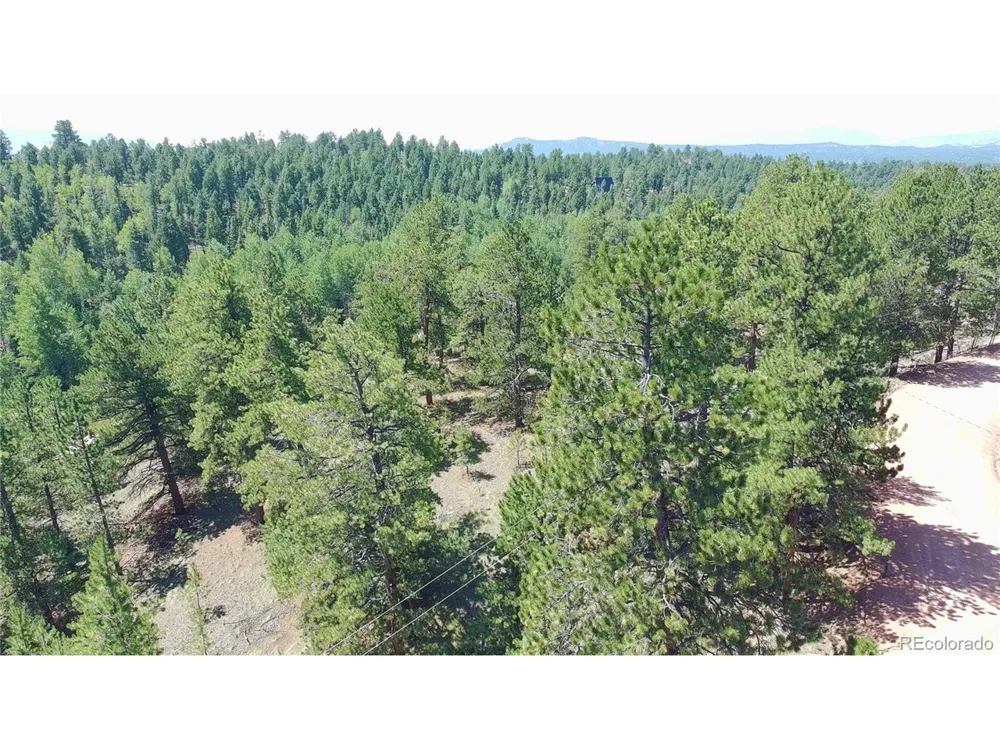 787 Spring Valley Lane Florissant, CO 80816