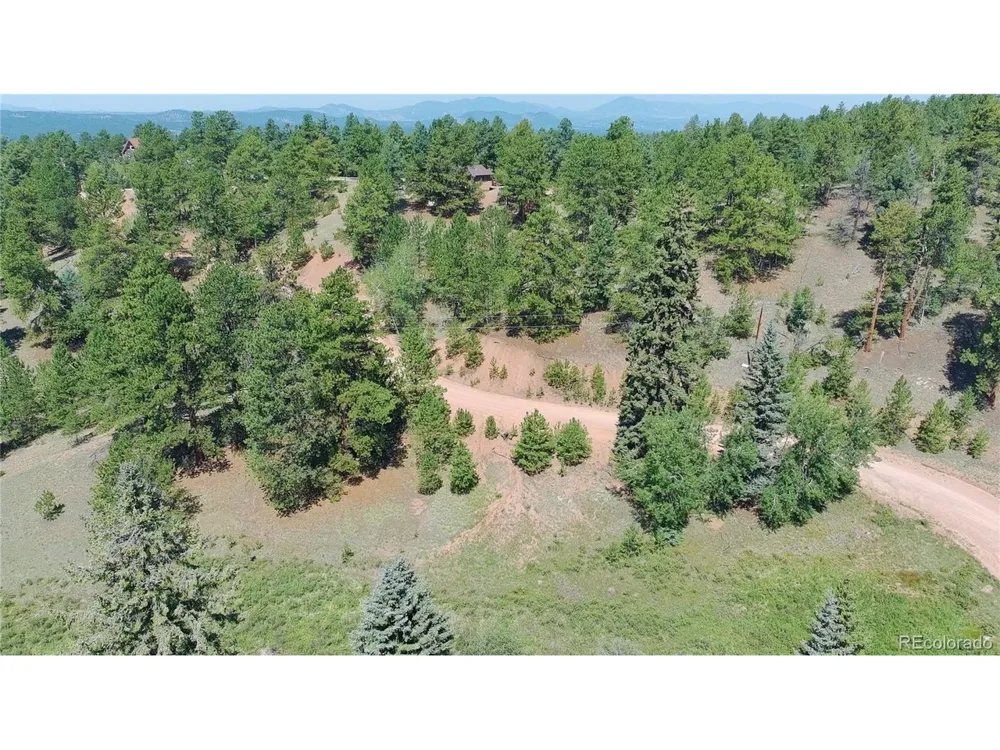 787 Spring Valley Lane Florissant, CO 80816