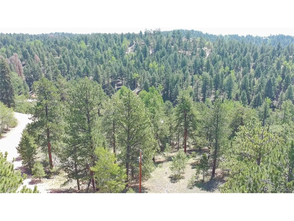 787 Spring Valley Lane Florissant, CO 80816