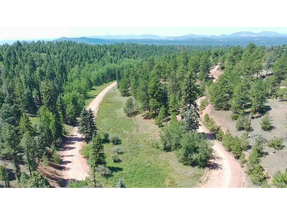 787 Spring Valley Lane Florissant, CO 80816