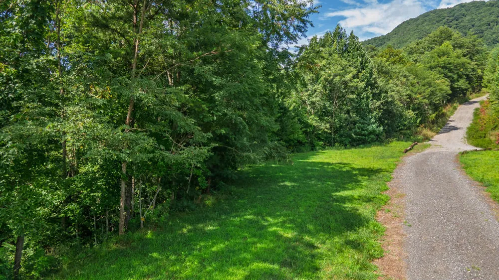 E Hampshire Drive Whittier, NC 28789