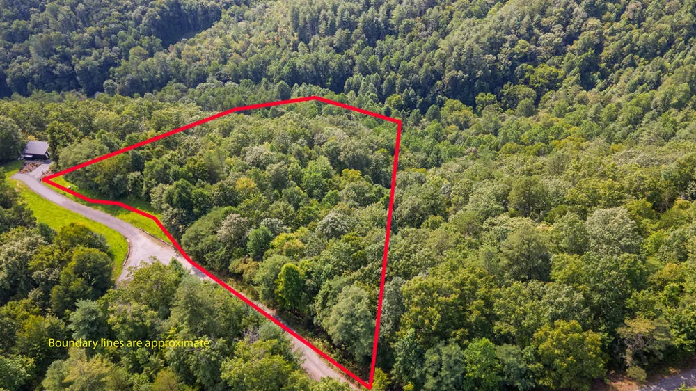 E Hampshire Drive Whittier, NC 28789