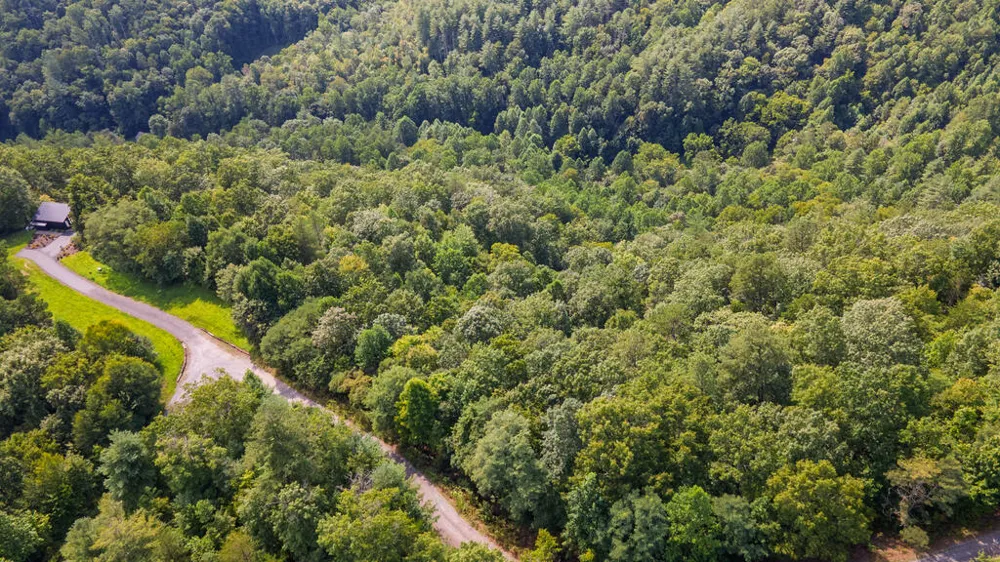 E Hampshire Drive Whittier, NC 28789