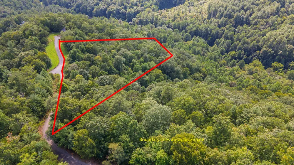 E Hampshire Drive Whittier, NC 28789