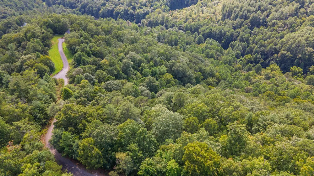 E Hampshire Drive Whittier, NC 28789