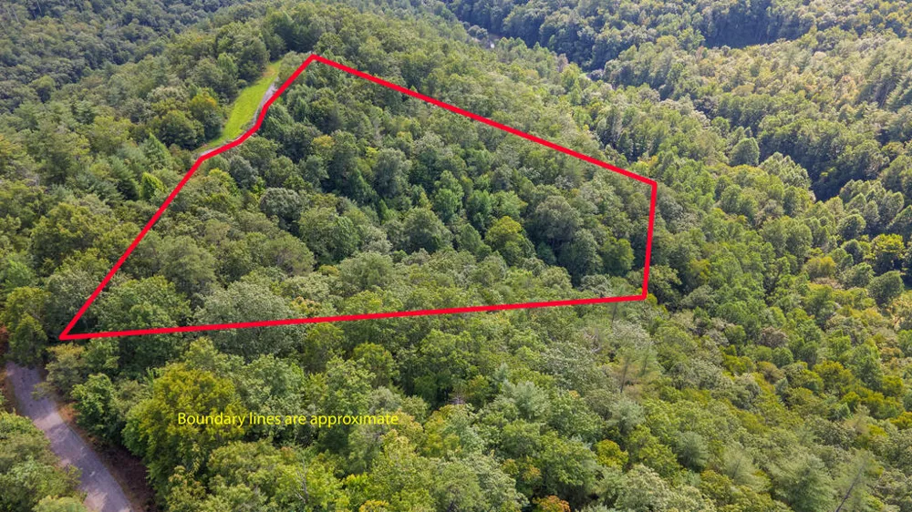 E Hampshire Drive Whittier, NC 28789