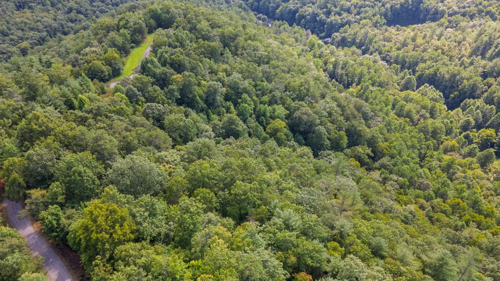 E Hampshire Drive Whittier, NC 28789
