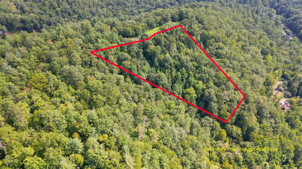 E Hampshire Drive Whittier, NC 28789