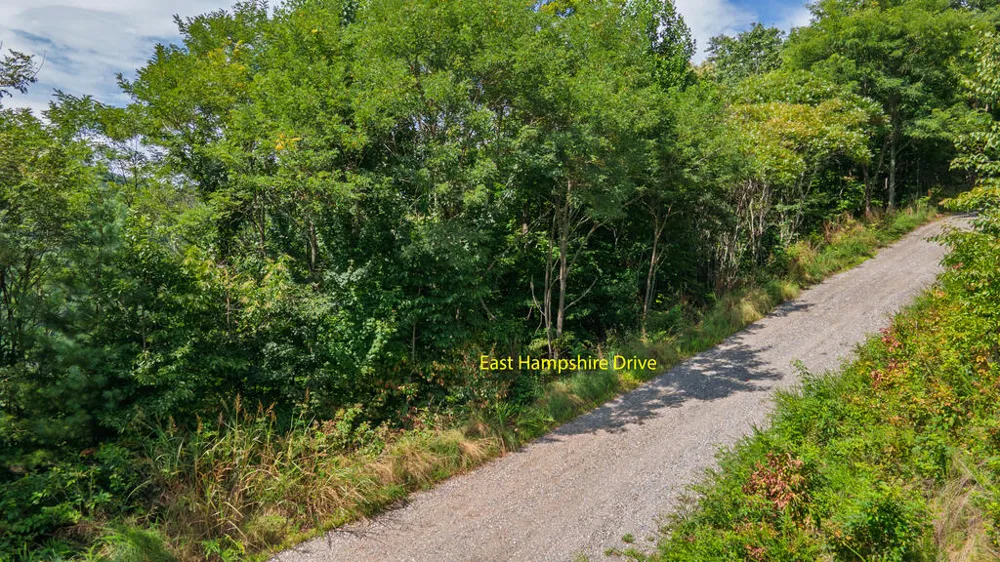 E Hampshire Drive Whittier, NC 28789