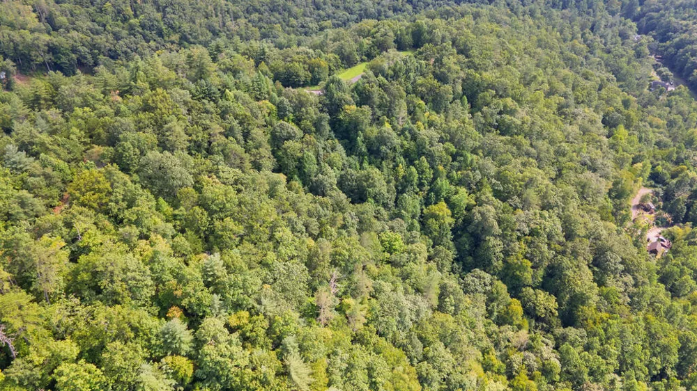 E Hampshire Drive Whittier, NC 28789