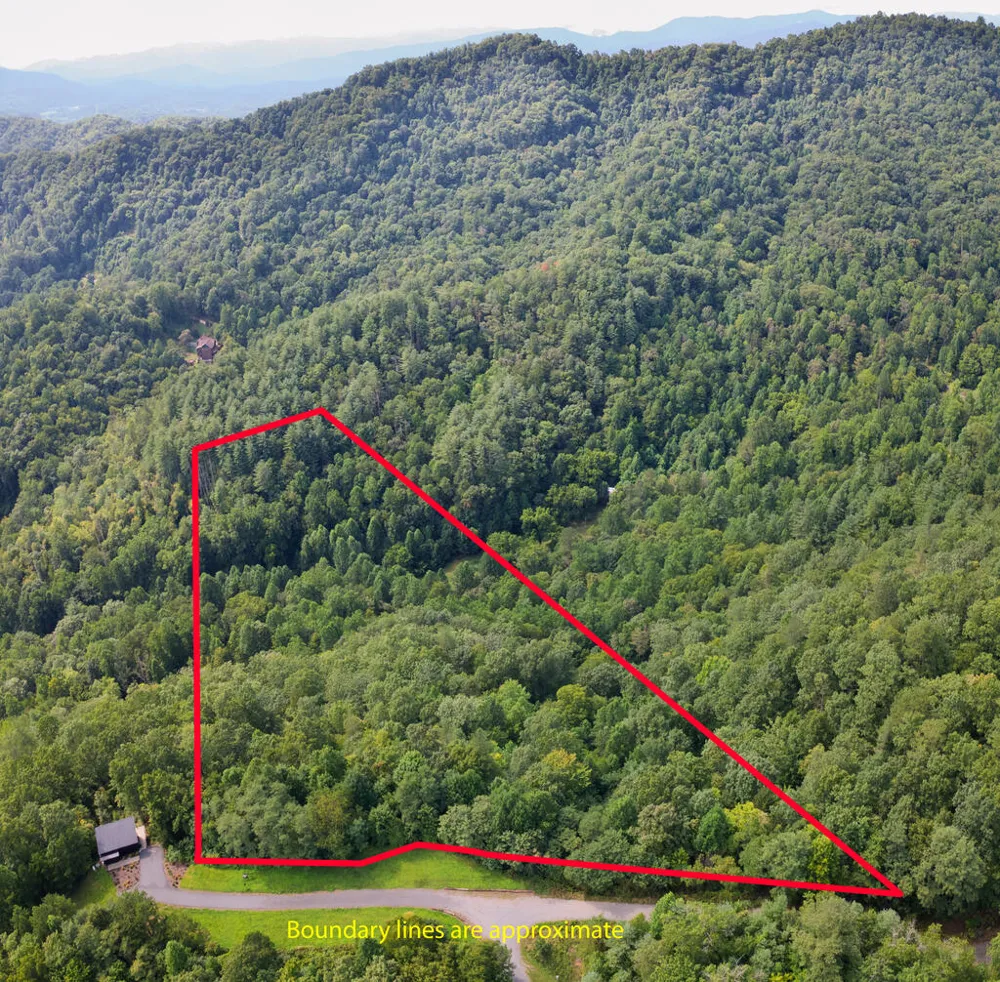 E Hampshire Drive Whittier, NC 28789