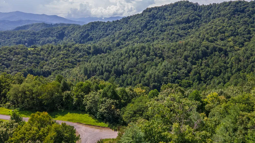 E Hampshire Drive Whittier, NC 28789