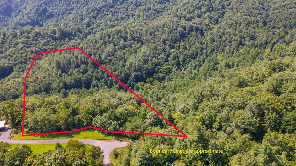 E Hampshire Drive Whittier, NC 28789