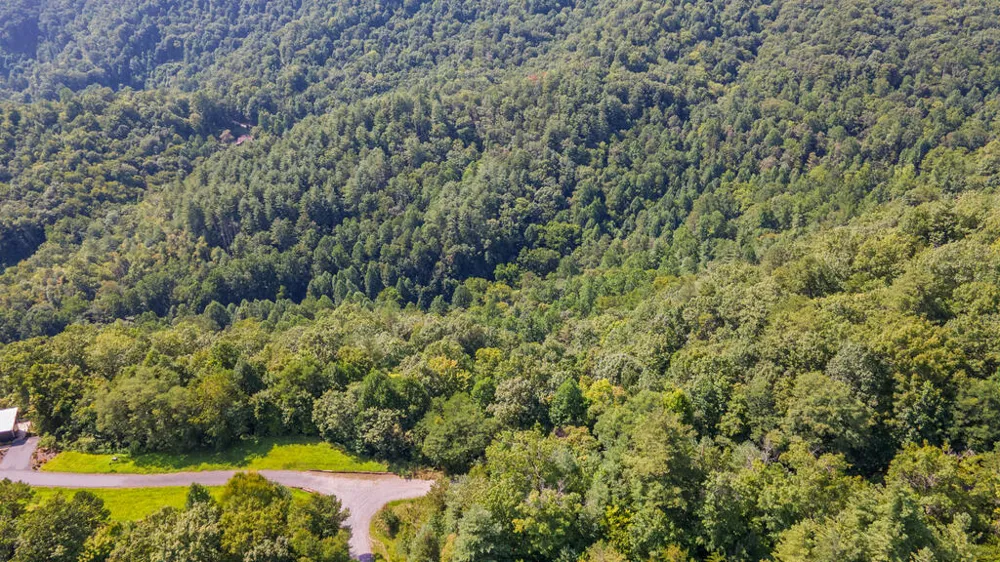 E Hampshire Drive Whittier, NC 28789