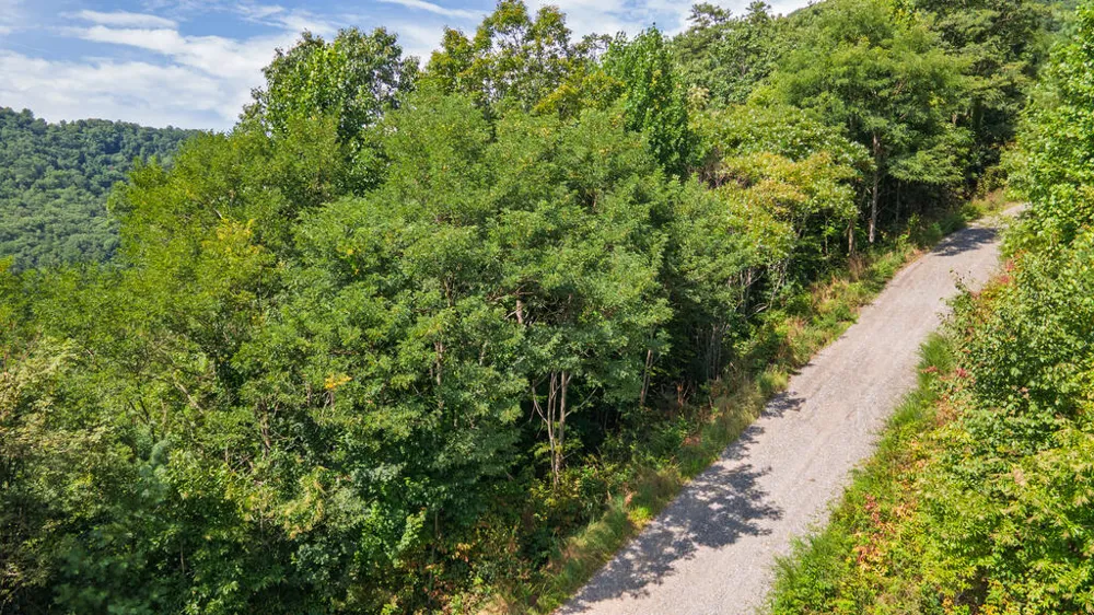 E Hampshire Drive Whittier, NC 28789