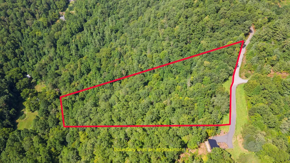 E Hampshire Drive Whittier, NC 28789