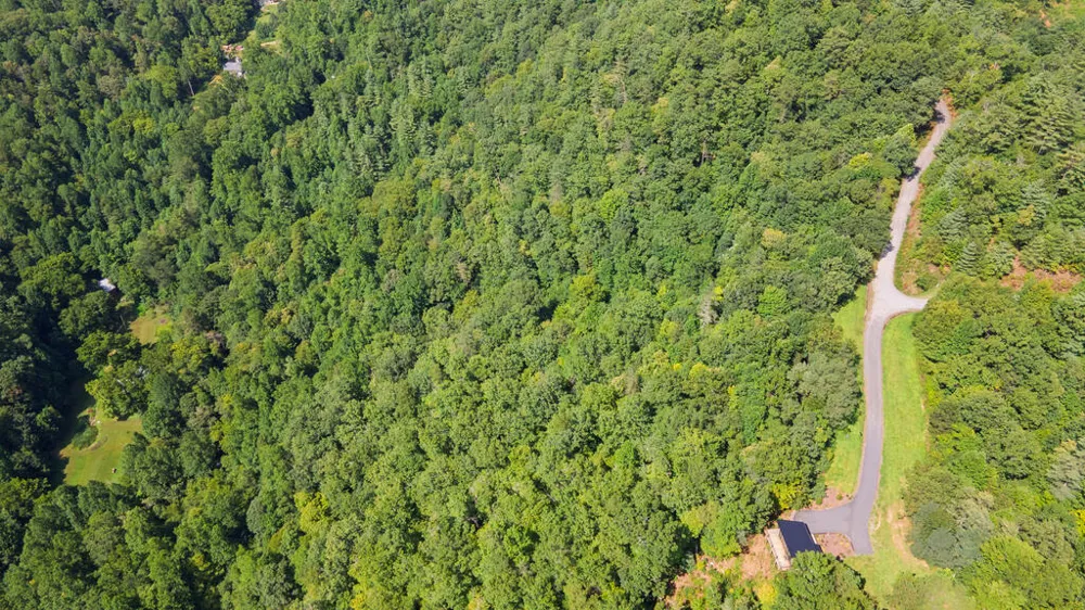 E Hampshire Drive Whittier, NC 28789