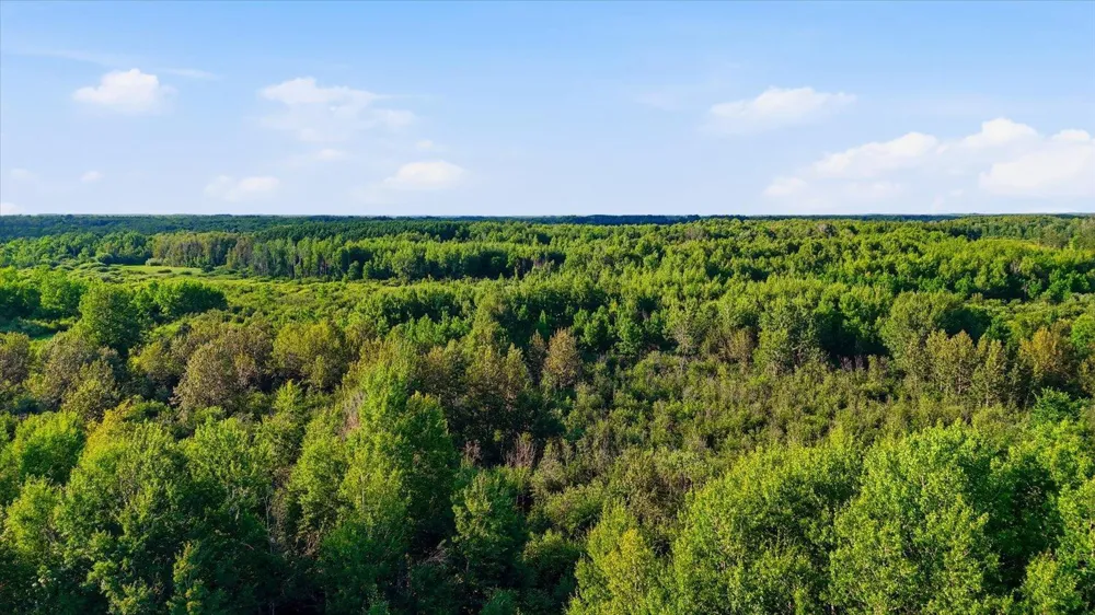 TBD County Road 156 Kettle River, MN 55757