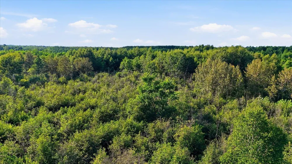 TBD County Road 156 Kettle River, MN 55757