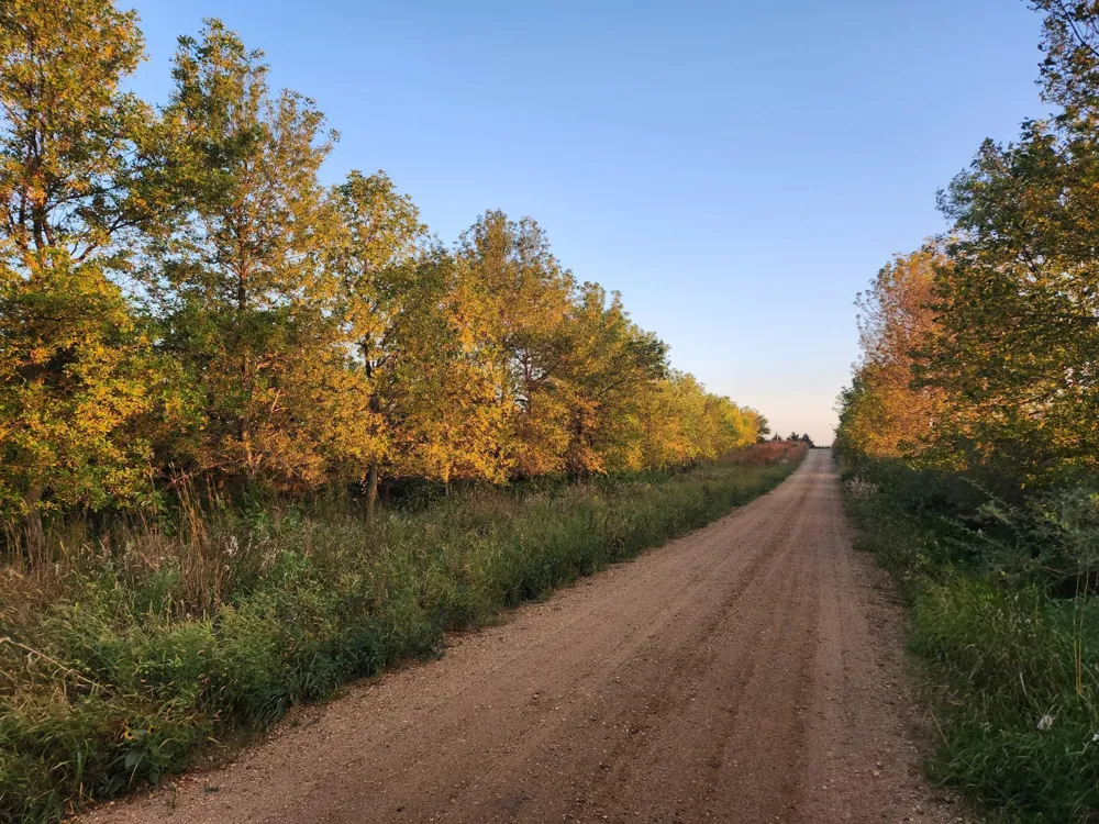 2051 120th Street Balaton, MN 56115