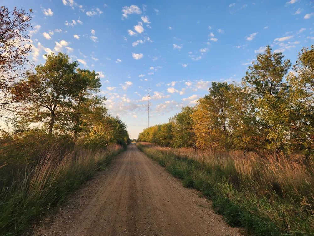 2051 120th Street Balaton, MN 56115