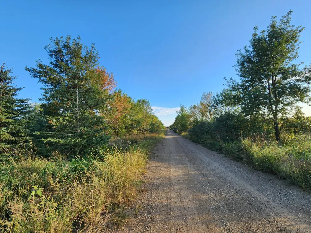 2051 120th Street Balaton, MN 56115