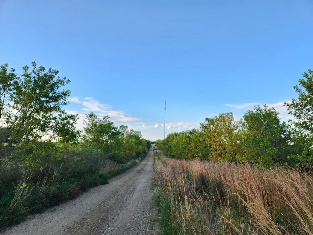 2051 120th Street Balaton, MN 56115