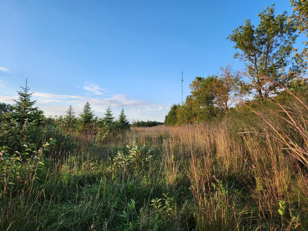 2051 120th Street Balaton, MN 56115
