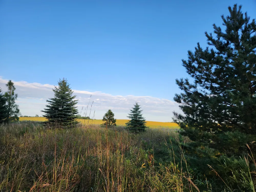 2051 120th Street Balaton, MN 56115