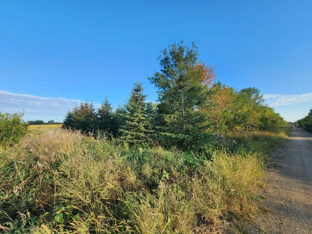 2051 120th Street Balaton, MN 56115