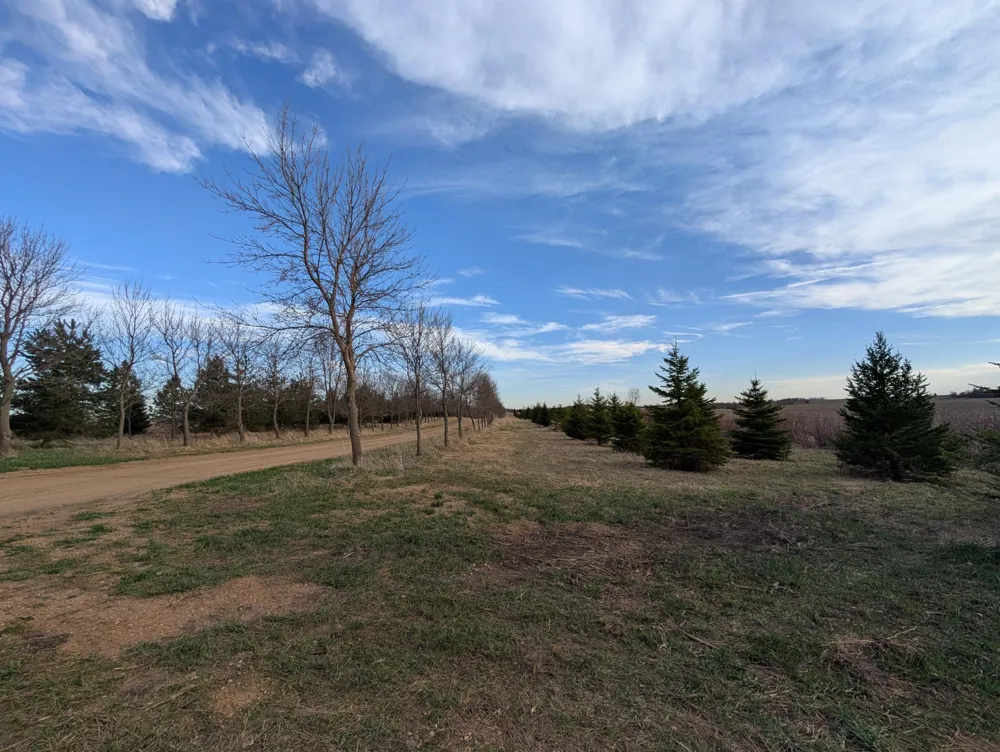 2051 120th Street Balaton, MN 56115