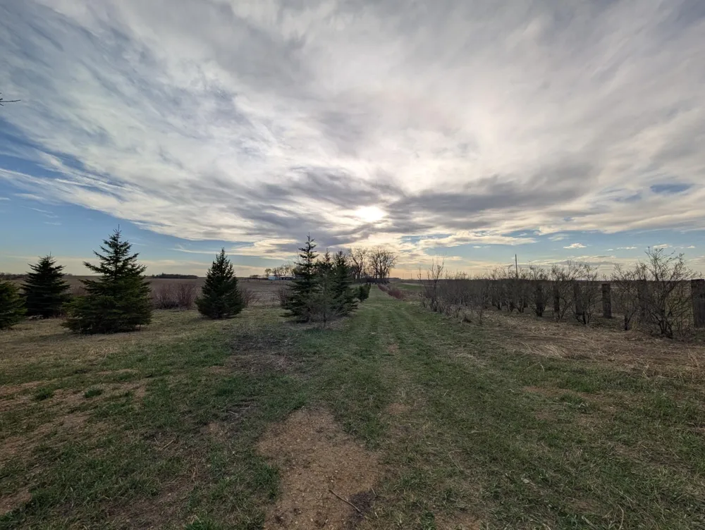 2051 120th Street Balaton, MN 56115