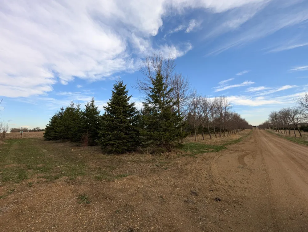 2051 120th Street Balaton, MN 56115