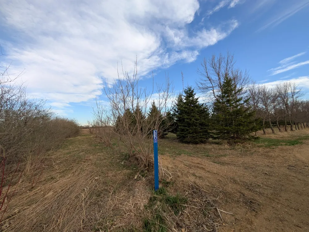 2051 120th Street Balaton, MN 56115