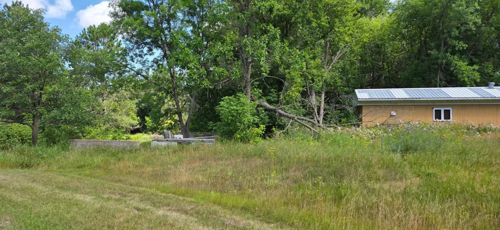 TBD Lot #1 Town Road 207 International Falls, MN 56649