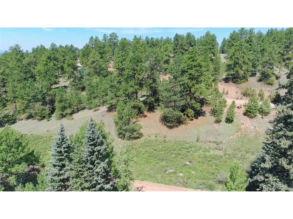 835 Spring Valley Lane Florissant, CO 80816
