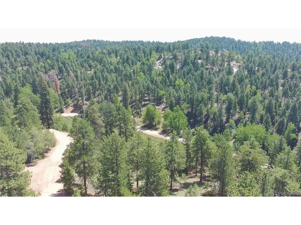 835 Spring Valley Lane Florissant, CO 80816